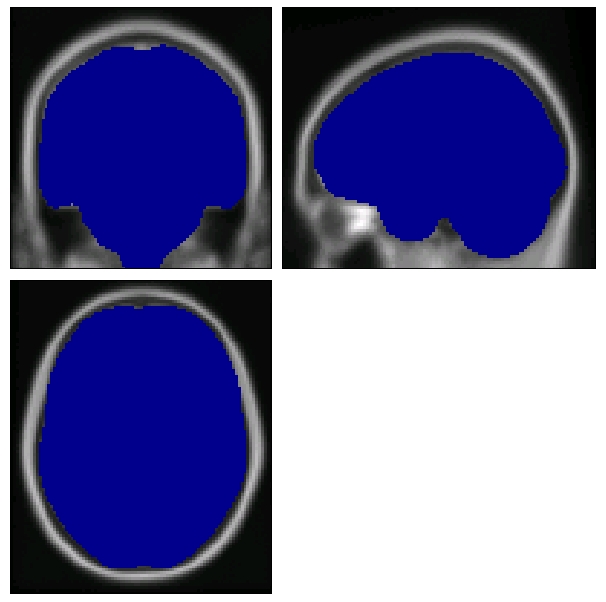 whole-brain mask image