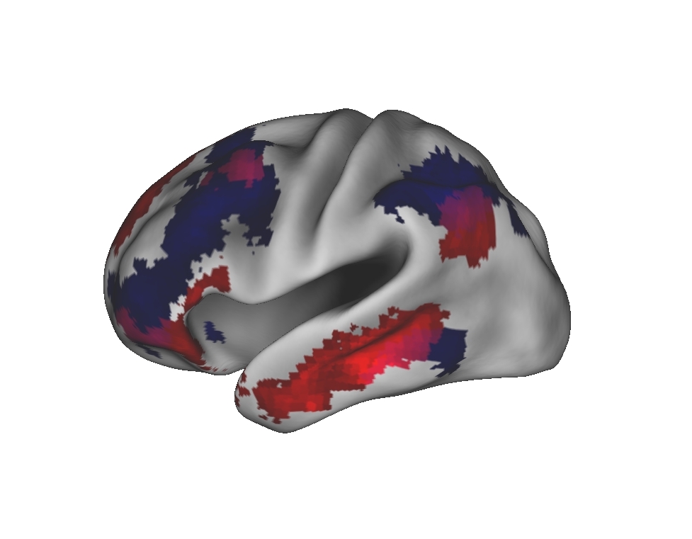 Inflated left-hemisphere brain surface showing two resting-state networks in red and blue, with overlap in purple.